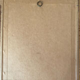 Botanical plate of 4 flowers from the 1960s.