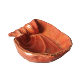 Empty pocket shell coral