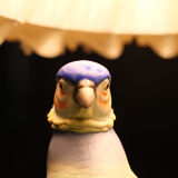 Porcelain Pheasant Table Lamp Germany 1950s