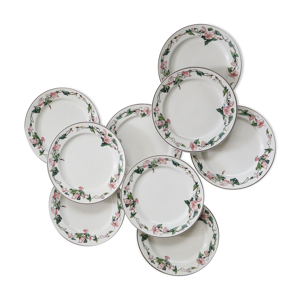 9 assiettes plates en