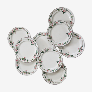 Flat plates 9 earthenware, model Palermo de Villeroy and Boch