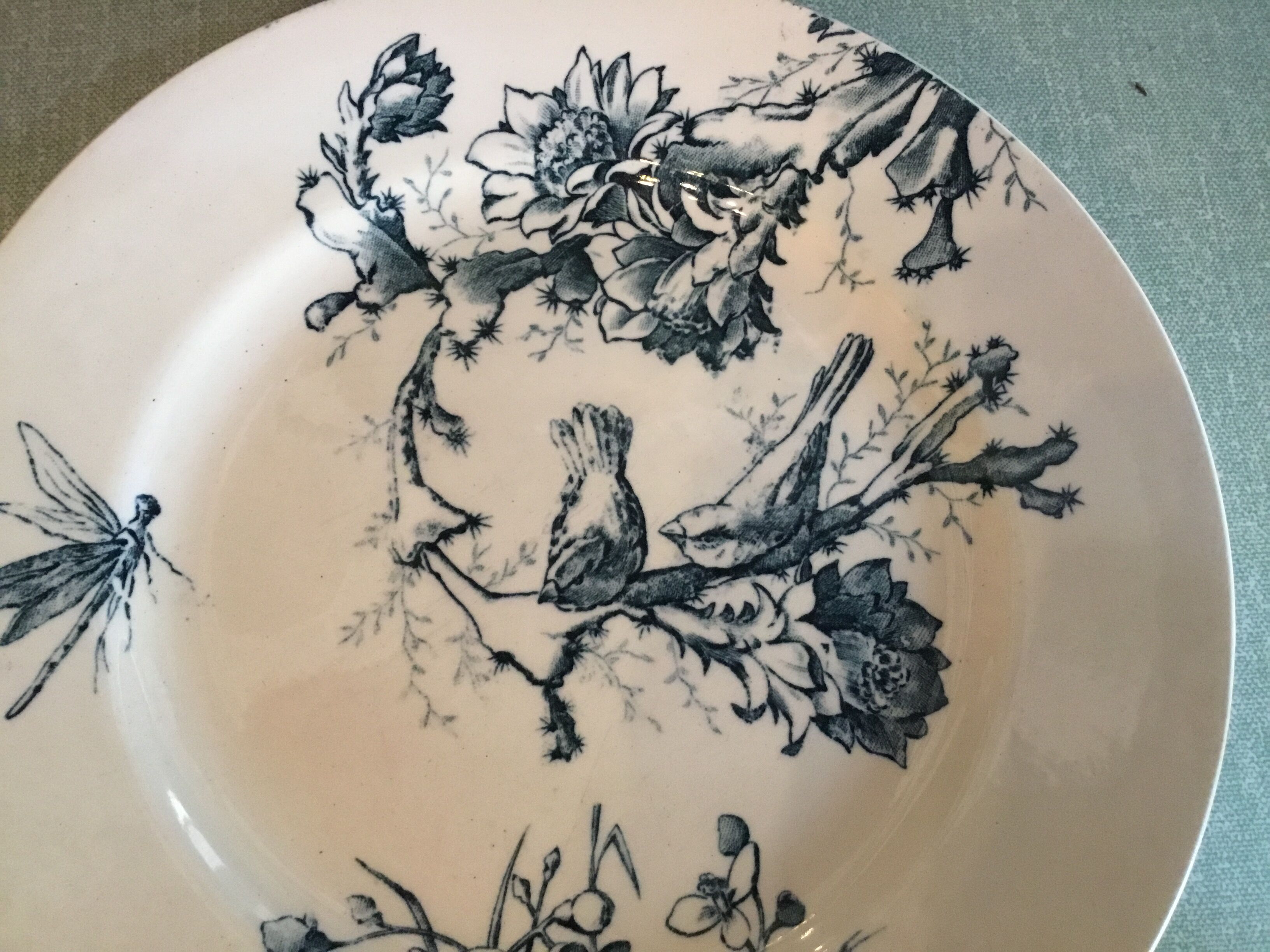 Plate Terre de Fer Birds