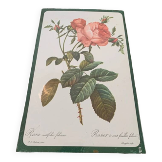 Metal plate