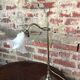 Bronze and brass desk lamp, tulip in glass paste 1930