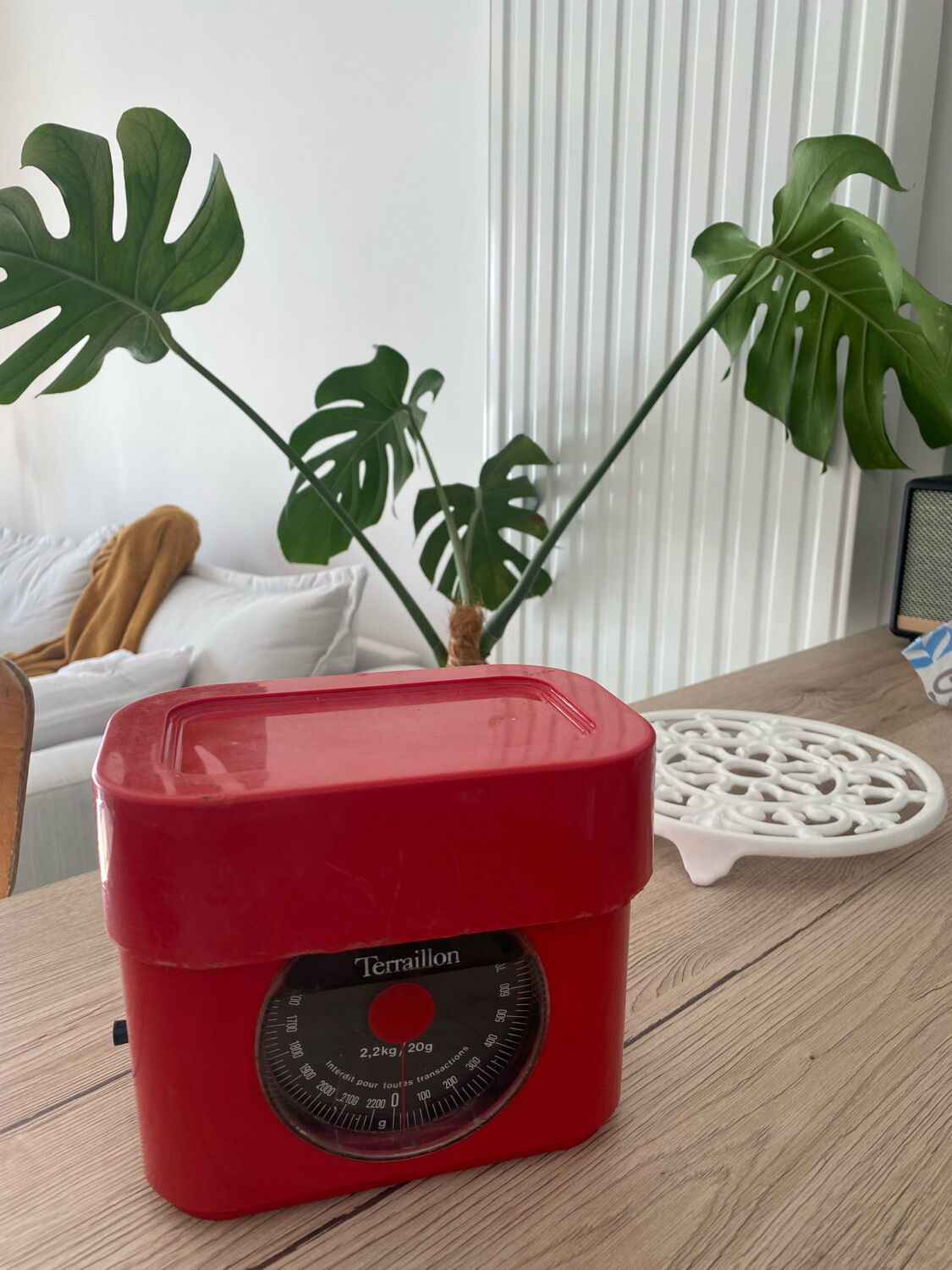 Terraillon kitchen scale