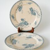 Pair of flat plates in Iron Earth U&C Digoin Sarreguemines model "Royat", 19th century