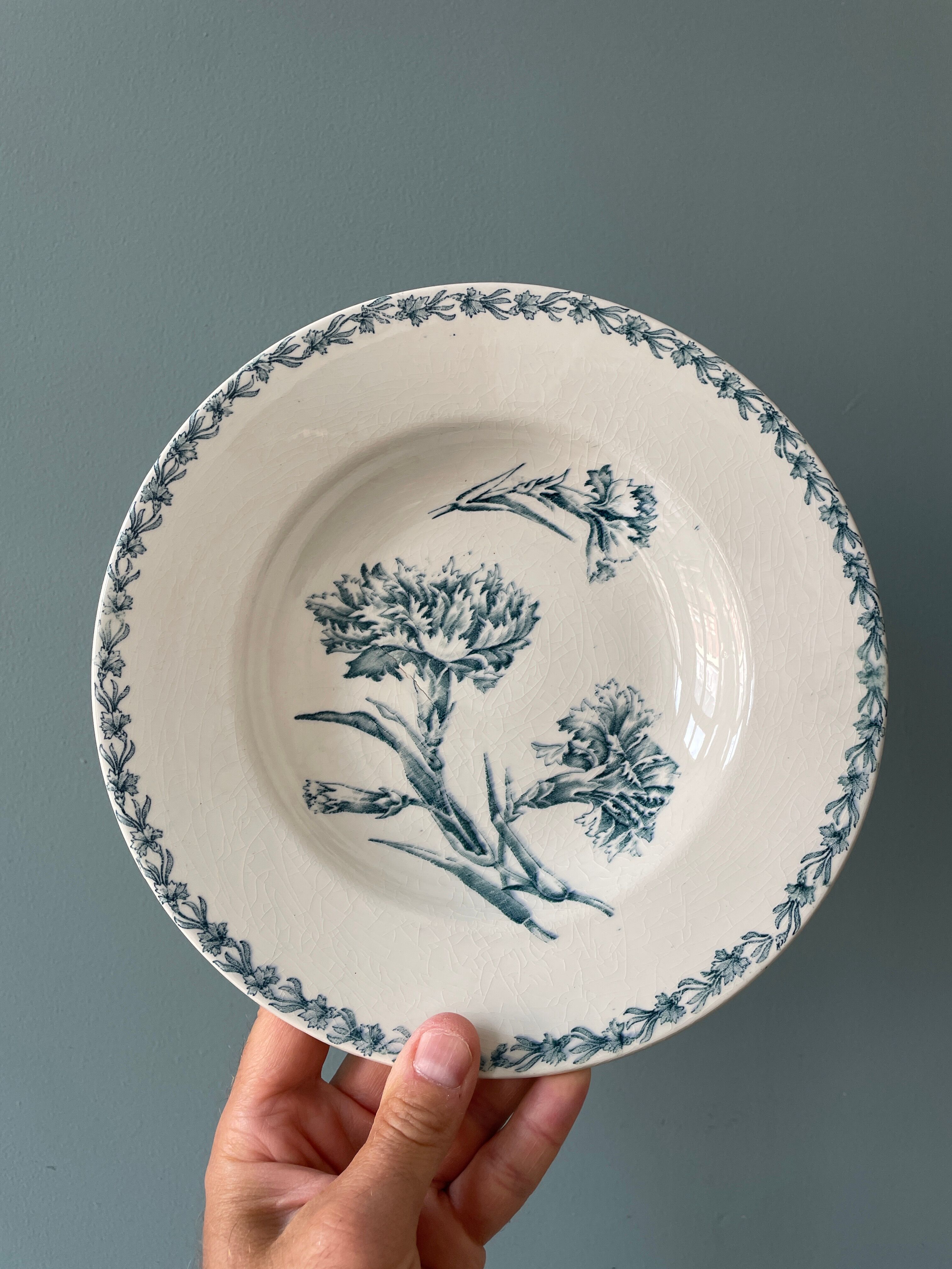 Set of 7 hollow plates Terre de Fer K.G Lunéville, model "carnation"