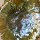 Clay leaf cutter – Art Pottery of the Sorgue