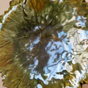 Clay leaf cutter – Art Pottery of the Sorgue