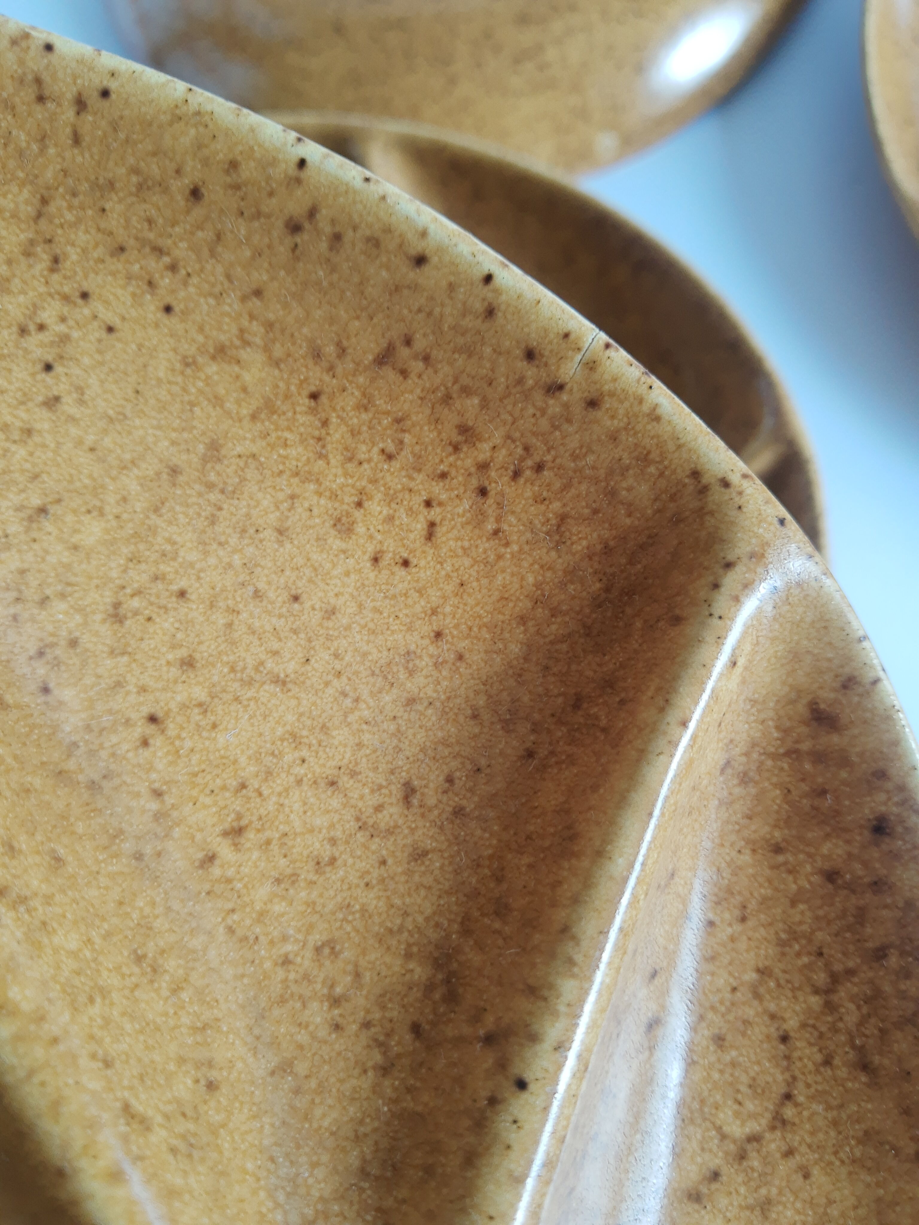 Set of 5 plates with compartments in vintage Longchamp sandstone