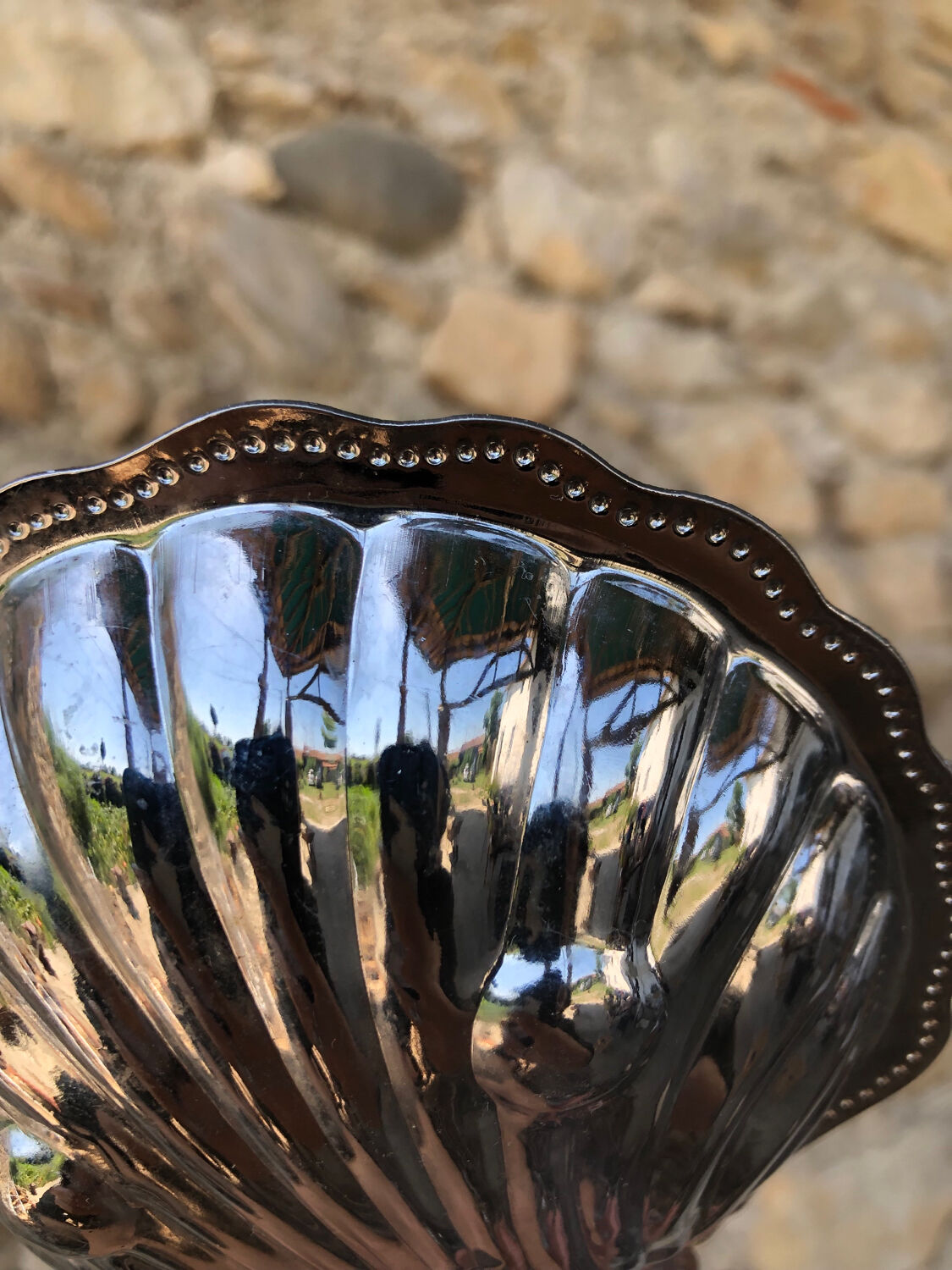 Butter dish/pocket tray • shell, vintage