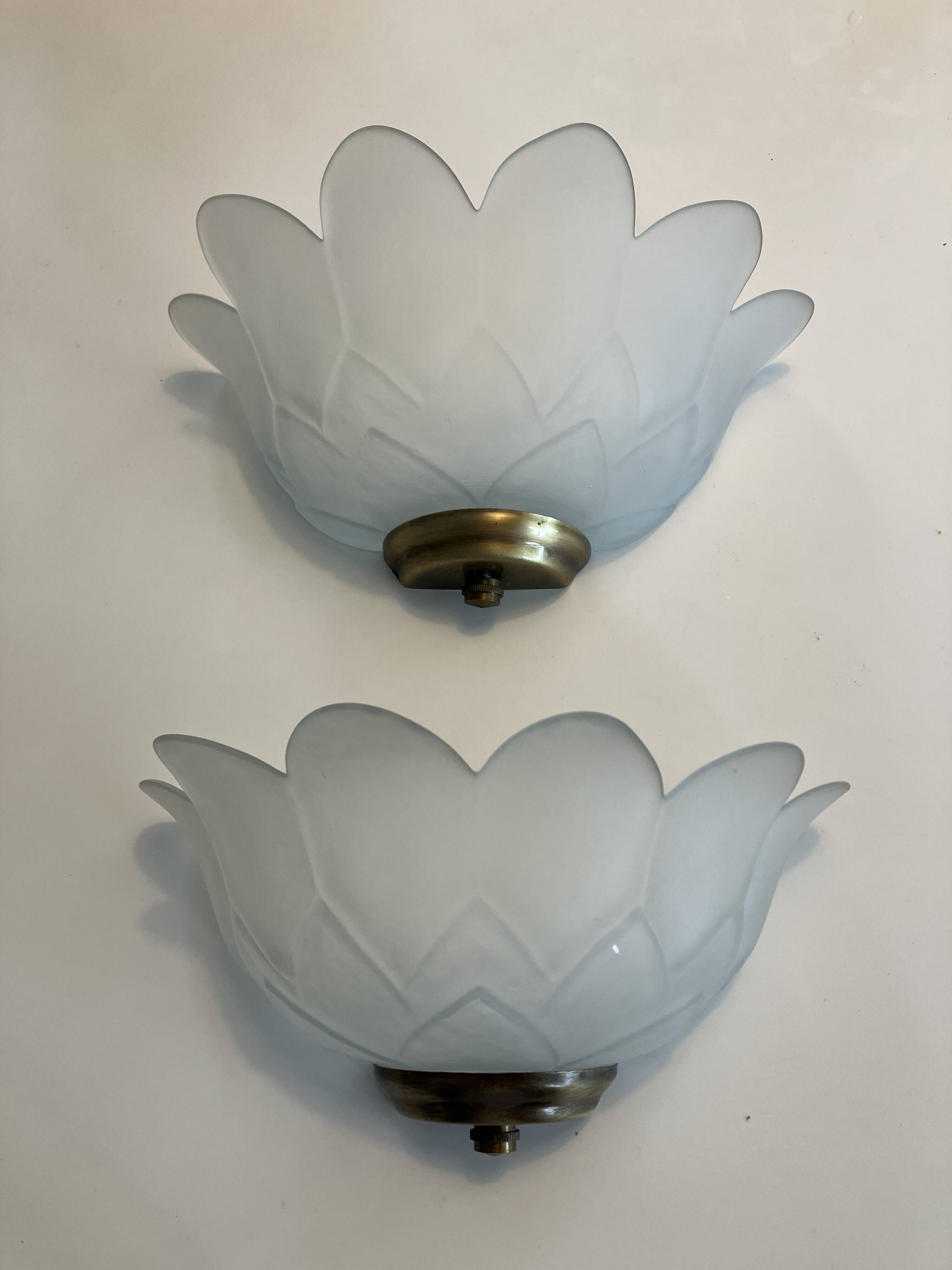 Pair of glass shell wall sconces with brass frames