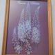 Lot 4 botanical frames 70