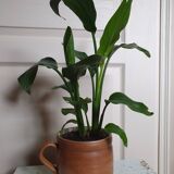 Stoneware pots