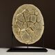 Septarian nodule on stand