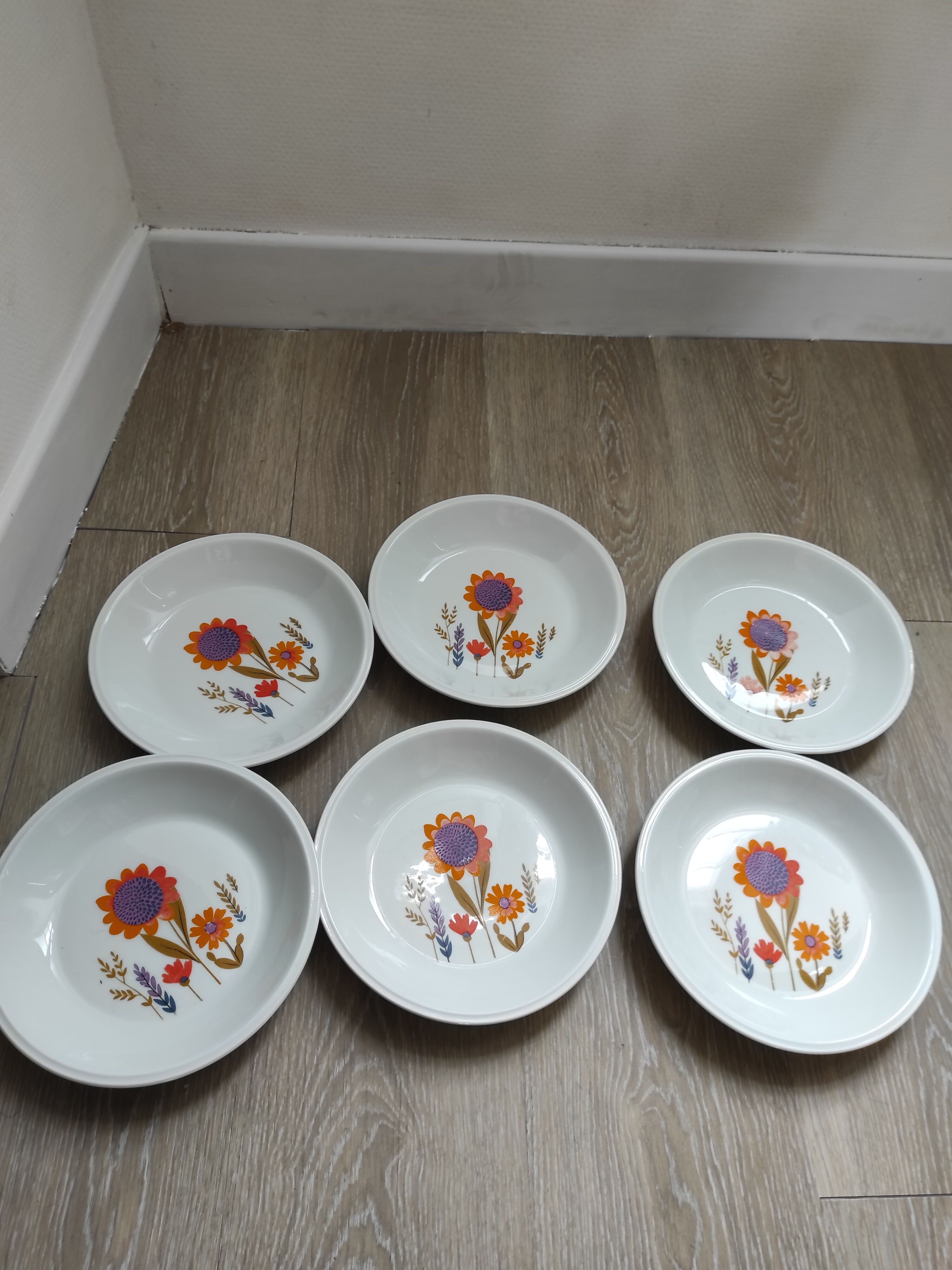 6 seventies hollow plates