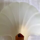 Pair of shell sconces