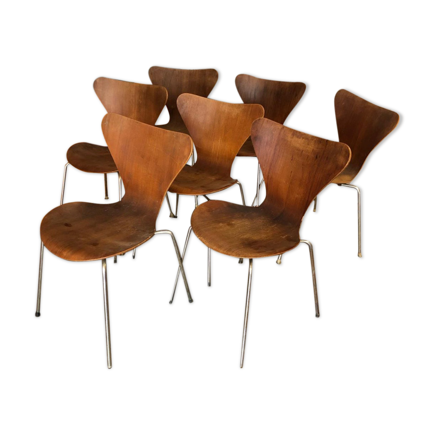 Suite of 7 chairs series 7 or 3107 by Arne Jacobsen ed. Fritz Hansen
