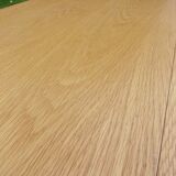 Extendable Scandinavian table