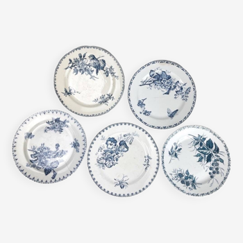 5 assiettes dépareillées Terre de fer 1900