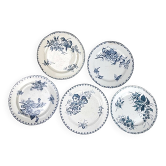 5 assiettes dépareillées Terre de fer 1900