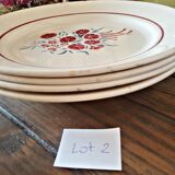 Flat porcelain plates Badonviller model Francine
