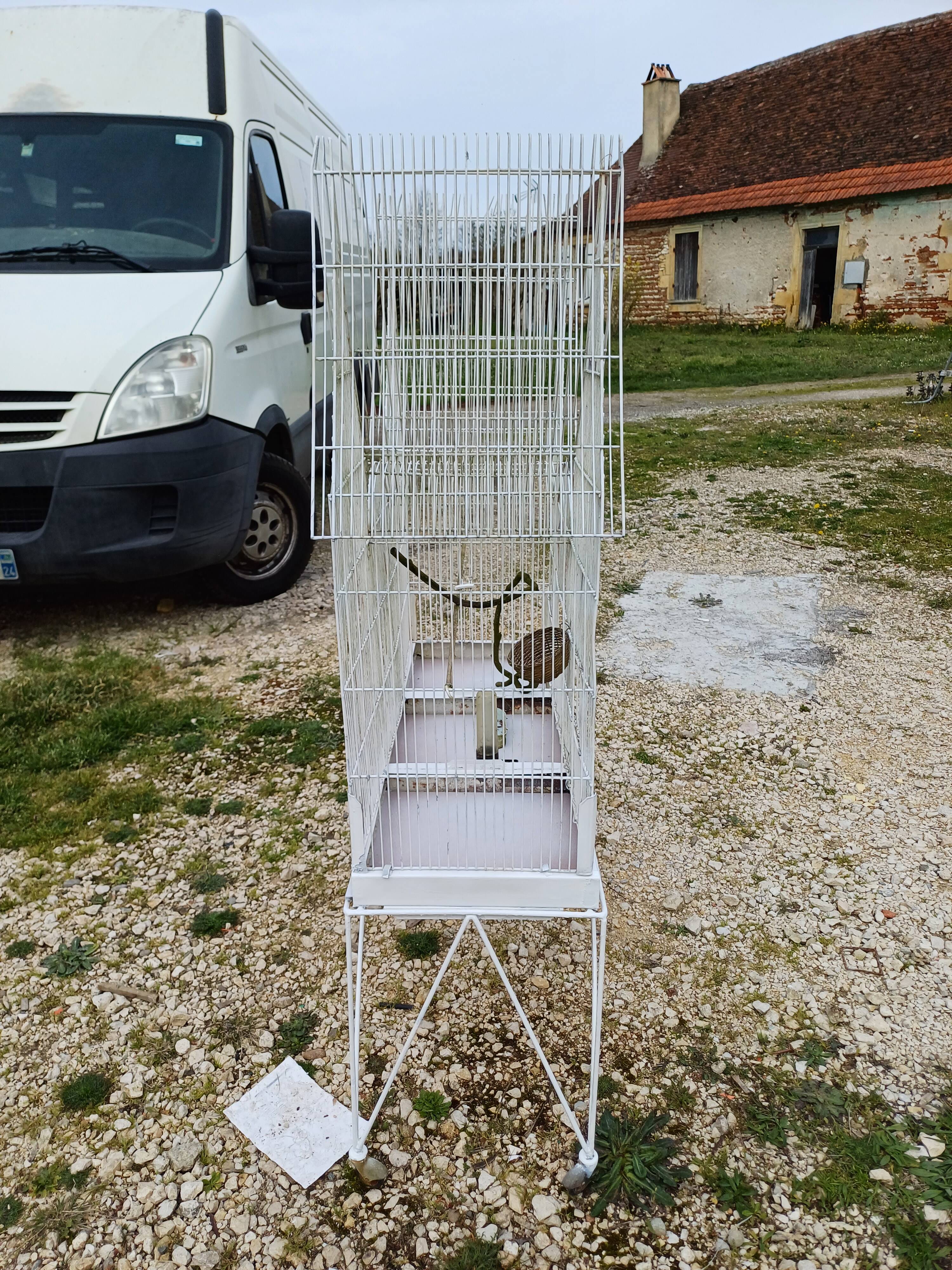 Cage à Oiseaux Fer 1900