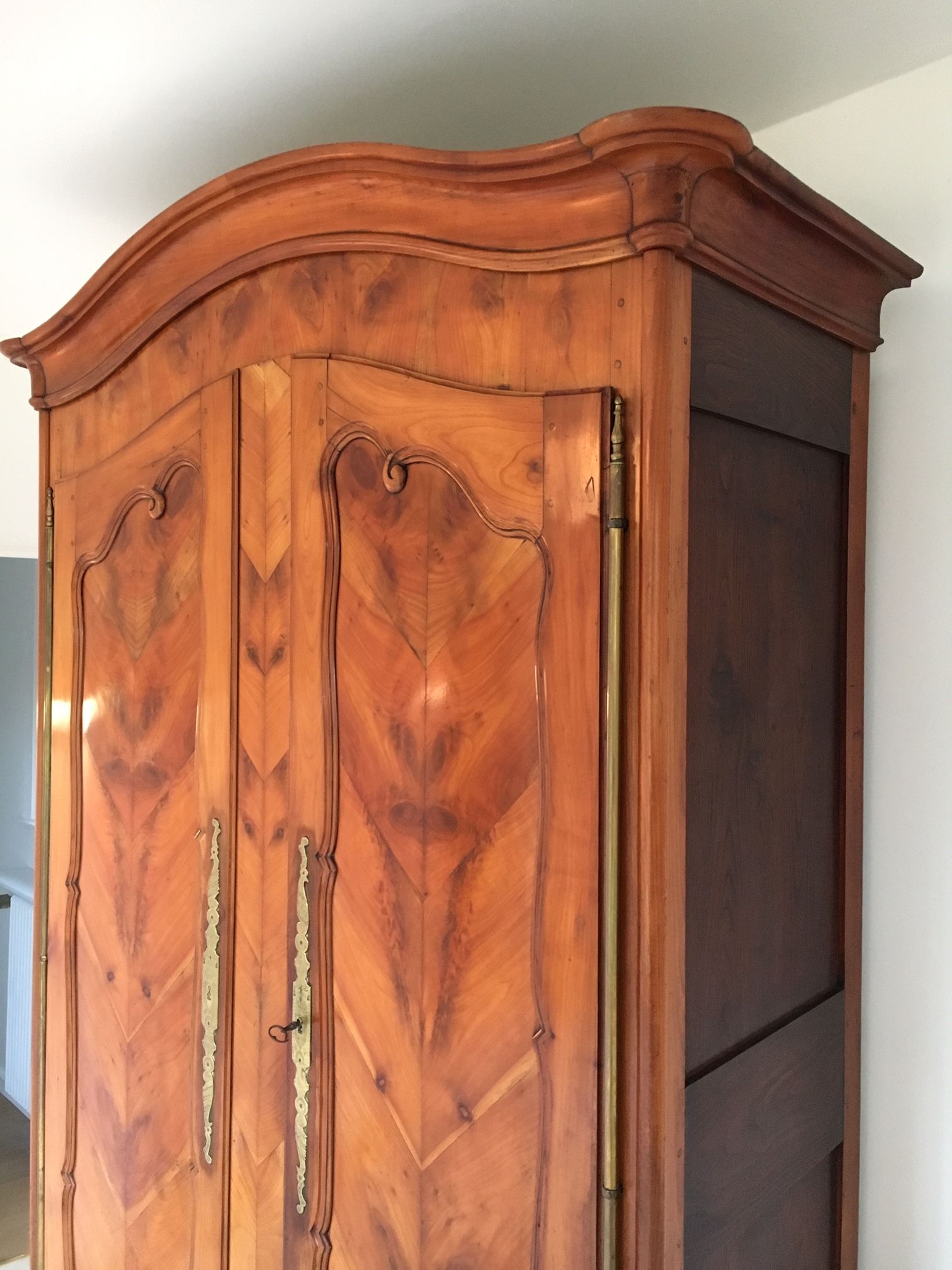 Mid-19th century cabinet of ferns in cherry and chestnut