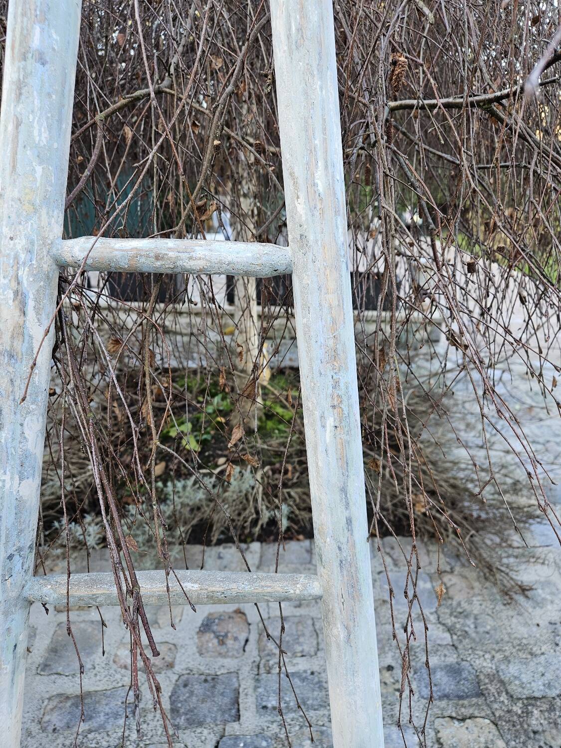 Wooden picking ladder