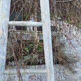 Wooden picking ladder