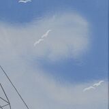 Stencil gouache by leon haffner representing a regatta boat