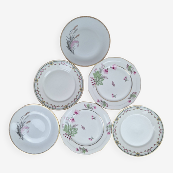 Composition de 6 assiettes plates en porcelaine