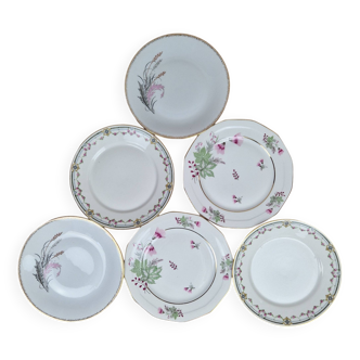 Composition de 6 assiettes plates en porcelaine