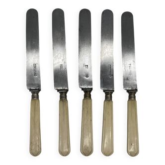 Set of 5 lunch knives with ivory handles.