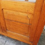 Ancient parisian oak library