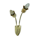 Mid century 2-light ceramic and brass sconce 1950s