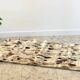 RUG Skin 1970s Beige-Brown - 56 x 107cm