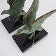 Pair of art deco eagle bookbands in marble and regulates, eagle bookbands. Year 30