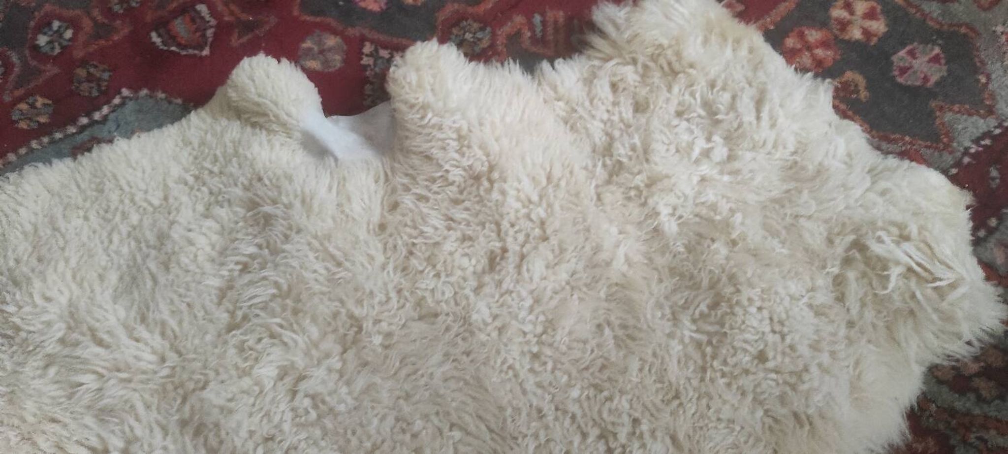 Peau de mouton