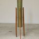 Rocket green floor lamp by Novoplast fiber and wood 1960