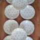 Set de 10 assiettes plates longchamps vintage