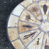 Vintage Roger Capron oval coffee table in ceramic, herbarium model with beech base.
