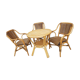 Rattan garden set