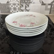 dinner plates