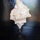 Cabinet of Curiosities 33cm Tutufa Bubo Shell on base