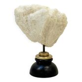 Corail vague  blanc naturel ancien sur socle en bois Napoléon III cabinet de curiosités