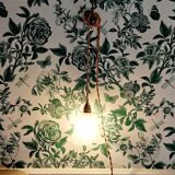 Suspension, glass lamp forming a tulip