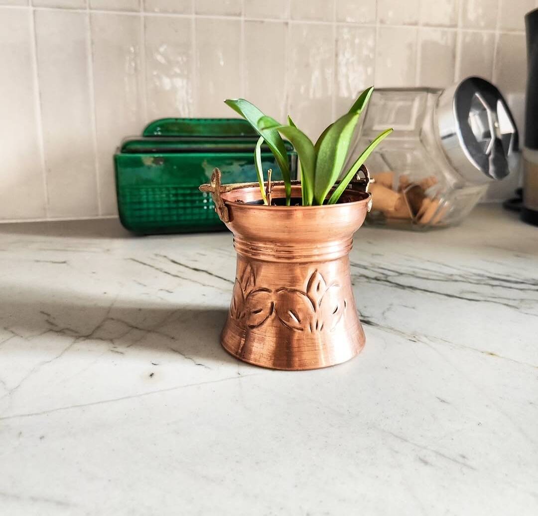Plant pot