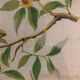 Painting printing birds