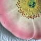 Pair of slipware plates – Art Nouveau floral decoration